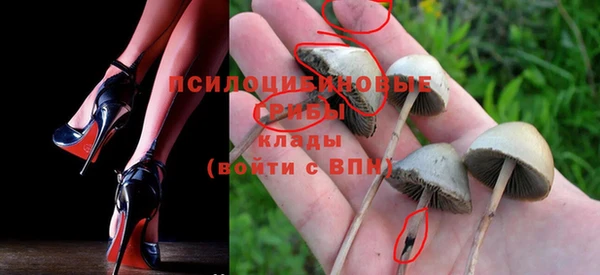 Альфа ПВП Краснослободск