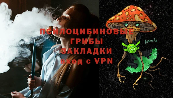 гидра Бугульма