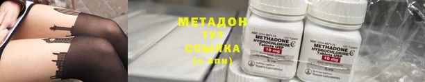 PSILOCYBIN Богданович