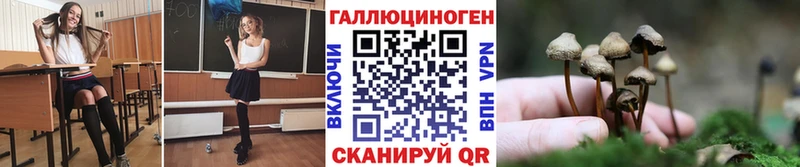 kraken ONION  Кодинск  Галлюциногенные грибы мицелий  как найти наркотики 
